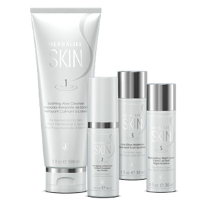 SKIN Basic Kit